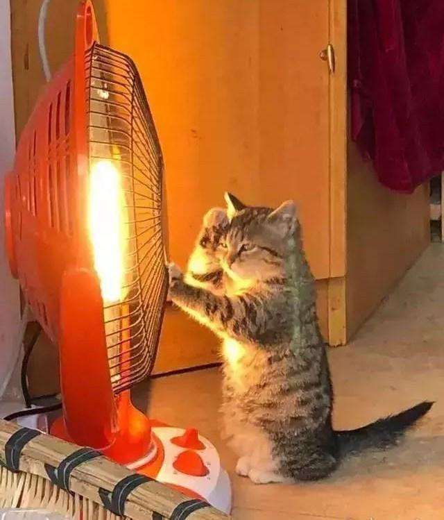 |幽默笑话:手机店看好一款手机,跟美女店员砍价半天无果