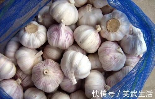 储存|大蒜总是发芽变坏？教你三个储存小技巧，放久也依然新鲜