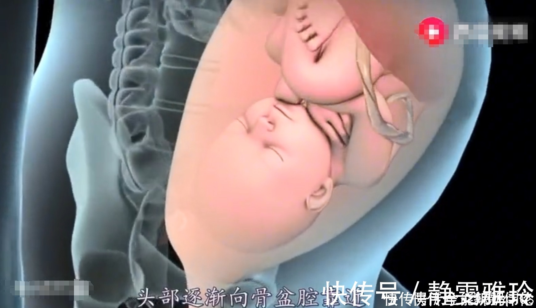 假性|顺产宝妈要经历多少“崩溃”时刻？4张图带你还原生命奇迹