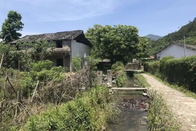  屿北古村，形若莲花绽放千年