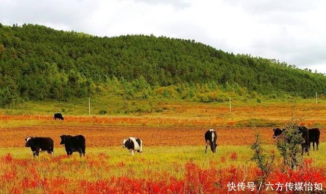 人间|我国4大人间秘境，第一个被称“生命禁区”，最后一个无人不晓！