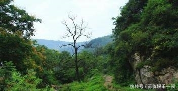 山泉|现实版荒野求生！女子参加越野训练赛跌入山沟失联，靠山泉维生