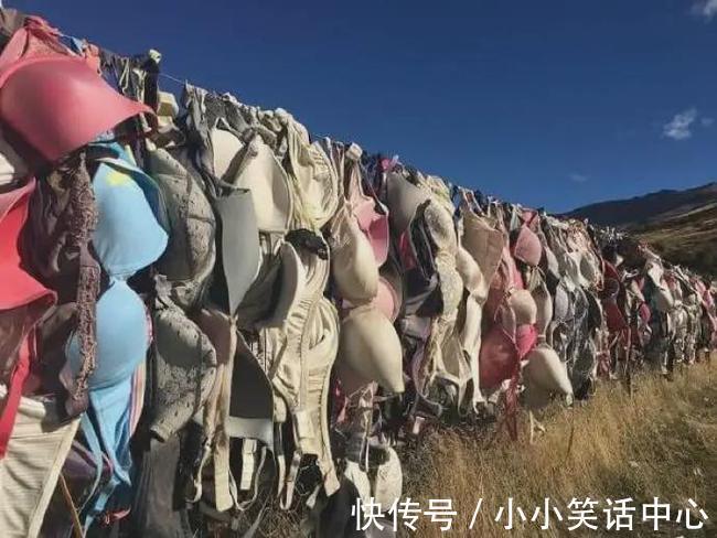 |【被窝段子20211223】现实点,你根本没有努力,你在抱怨