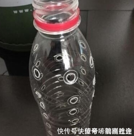 绿萝卜|隔壁大爷把“塑料瓶子”绑起来,绿萝盆栽,被他养成一棵绿萝树
