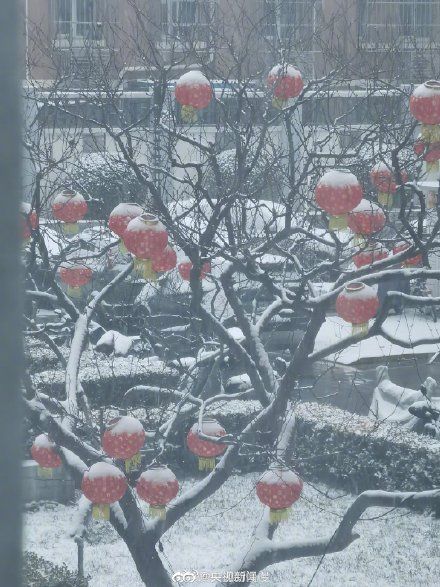 一场雪，满大街都是雪容融