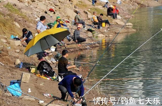 湛江|湛江钓友晒渔获被网暴:为啥不放生?资源枯竭,钓鱼人该怎么办