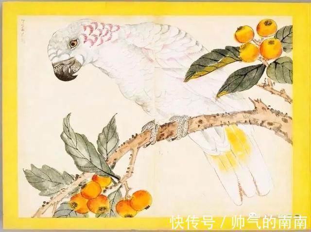 画谱！《百花鸟图》选页欣赏