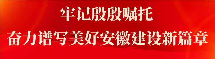 阜阳市教育局最新公示！太和这些学校和个人上榜