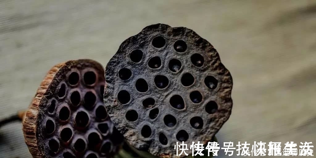 教条示龙场诸生@王阳明的十句处世真言,学会一个,就能成就辉煌的人生