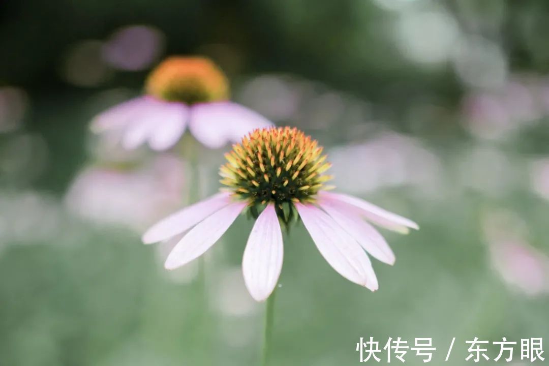 醒悟|人生的醒悟,从三次“接受”开始