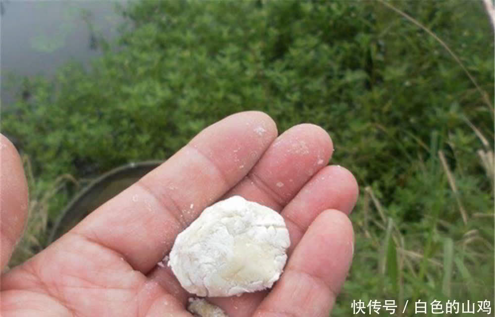 夏季|夏季高温鲫鱼不好钓,试试这些“清爽”饵料,气温高反而效果更好