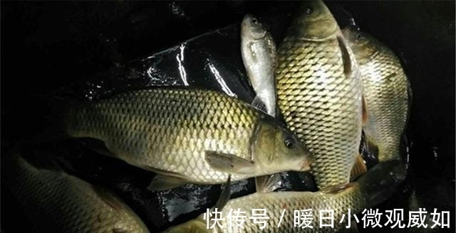 钓位|夜钓和白天钓鱼最大的区别,是选择钓位,跟白天正好相反