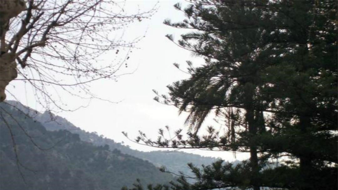 思念@柳宗元另一首孤独的诗,同样写得很凄美,可以比肩那首《江雪》!