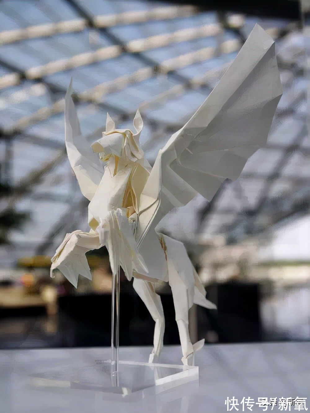 白纸#陈晓得了折纸界奥斯卡大奖，这也太绝了吧