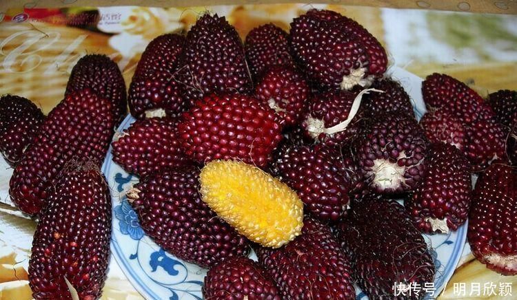 甘露聚糖|女性害怕老太快,可以多吃3种食物,排毒养颜、滋补身体!