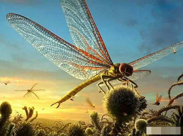 为什么石炭纪会出现身长接近3米的巨型蜈蚣 真是太可怕了 快资讯 为什么石炭纪会出现身长接近3米的巨型蜈蚣 真是太可怕了 快资讯