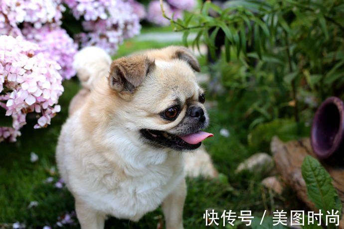 阳台上|为建花园,不顾反对买了一楼带院子,3年的亲手布置朋友都羡慕了