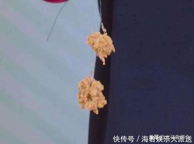 大片鱼泡冒出水面，为啥无鱼吃钩？鱼说“我想吃，你不让我吃”