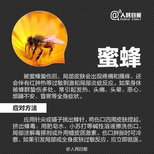 恙虫|江西男子被它叮了一下，紧急抢救