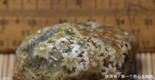 价值|升值最快的20种奇石,快看你的有没有上榜