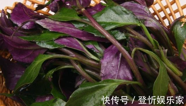 观音菜5种最好吃的做法,每种都简单美味,看看你喜欢吃哪种