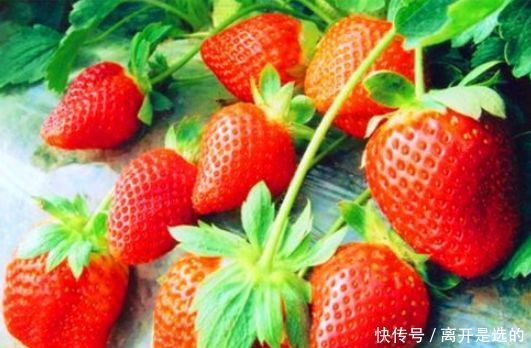 好食物要多吃,3种离不开,补充营养,身体棒棒