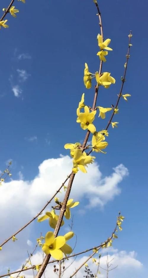 教师可以在教室内让调皮捣蛋的学生罚站吗？