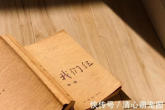 同理心|孩子出不出息,性格如何,与妈的性格紧密相关(妈是家里的风水)