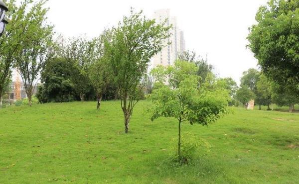 俗语“树怕三摇,女怕三撩”,女人怕哪三撩?老实男都学着点!