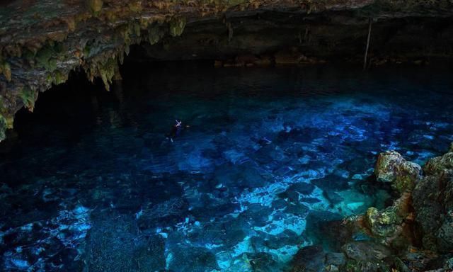 海洋生物 若海水突然消失，地球会发生什么？人类还能撑多久？答案令人意外