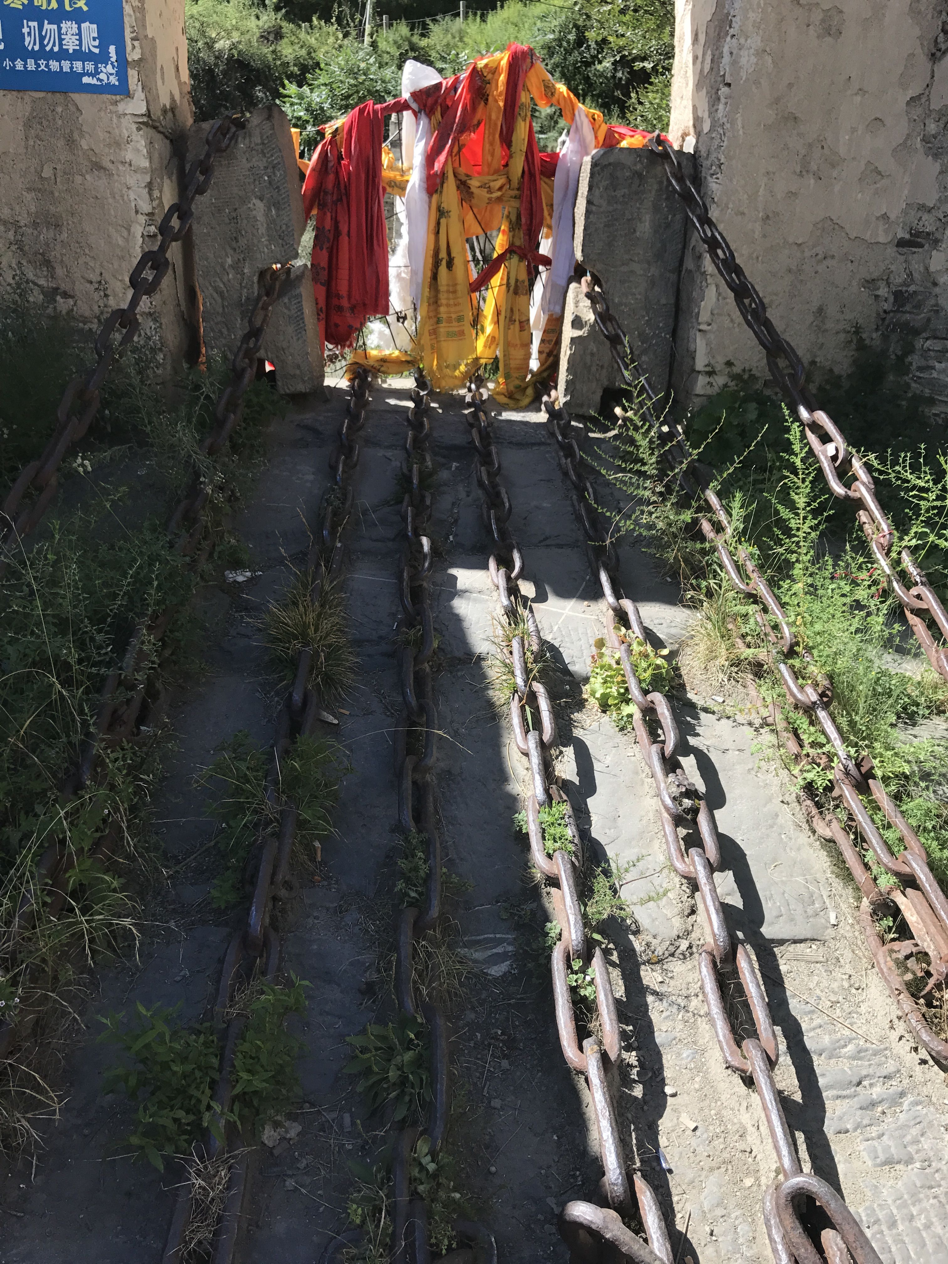 草坪|川西自驾游，美景看不够