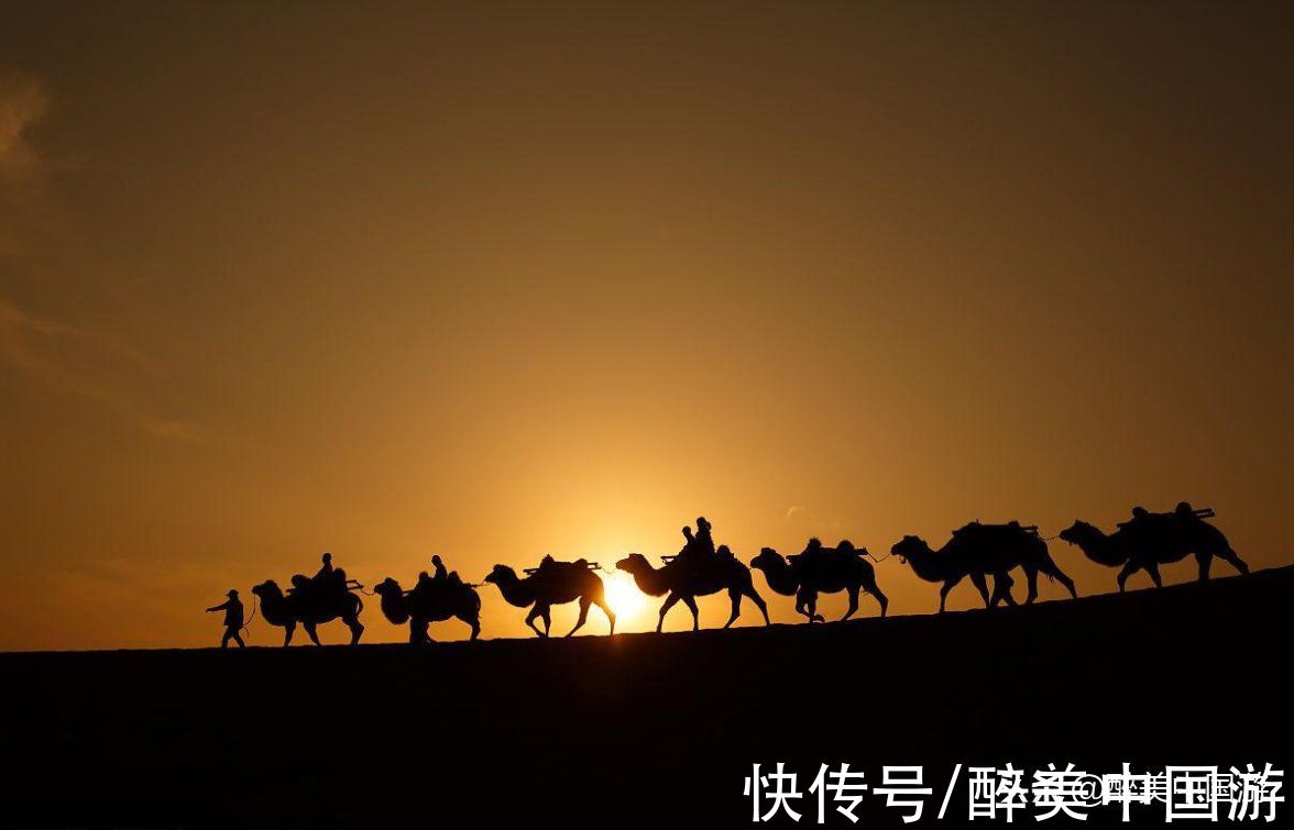 景区|探访沙波头，这是一处大漠与黄河融为一体的景区，有趣好玩