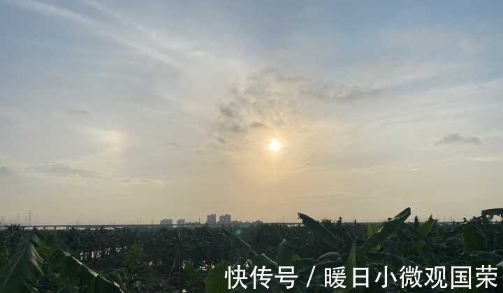 身体|坚持跑步对身体到底好不好？