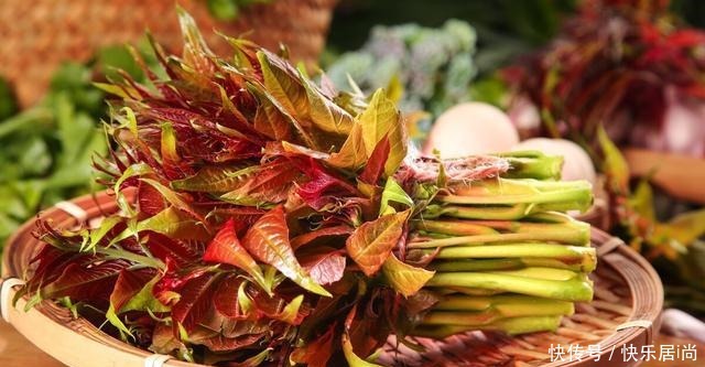 春天的农村里有这40种山珍野菜图片,让你轻松辨别山珍野菜