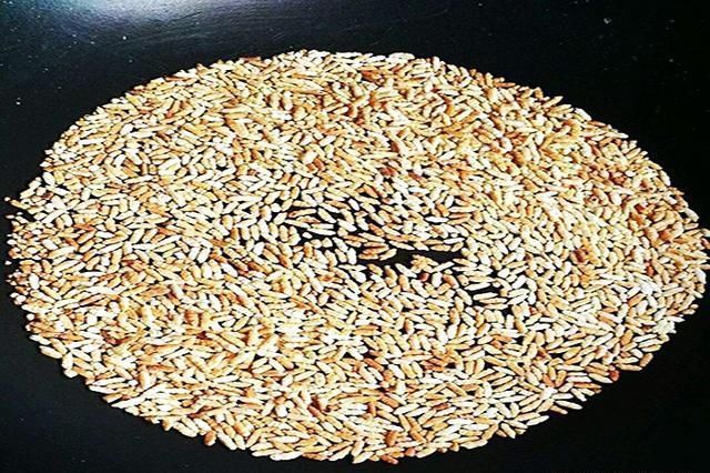 自制酒米鱼不吃不是鱼“挑食”，问题出在这些地方