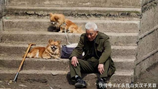 头胎是儿子，二胎又是儿子是什么感受这几位宝爸说出大实话！