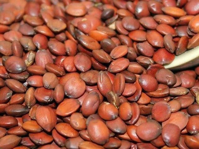 粳米|晚上总是失眠怎么办?它加白开水泡着喝,一觉睡到天亮!