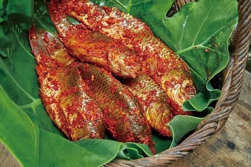 俄罗斯|东北爷们看完俄罗斯的“下酒菜”,陆续放下筷子不愧是战斗民族