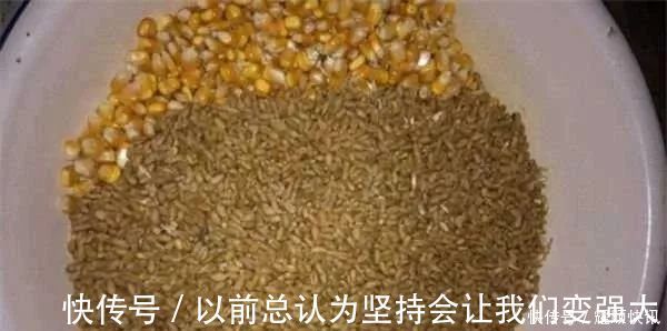 青草鲤|野钓必杀饵料,通杀青草鲤,大鱼一条接一条,拉杆到手臂疼