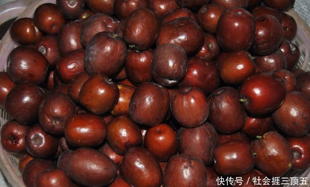 红枣|常吃红枣的人,身体不会差,但切忌与一物同食,却有很多人不清楚