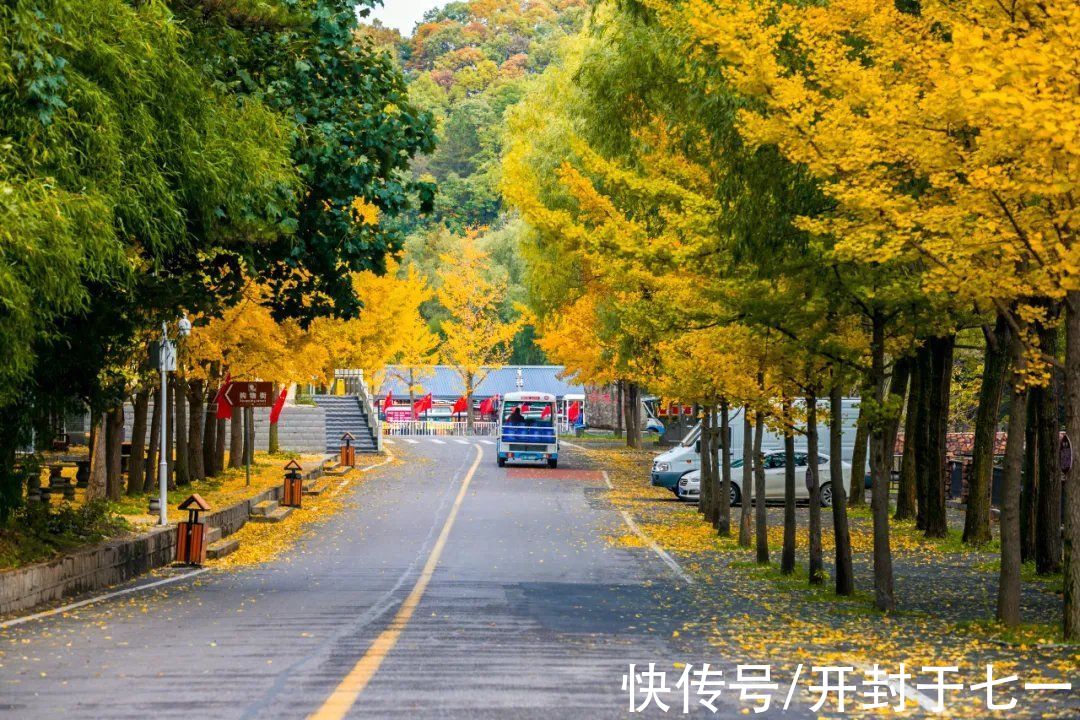 秋天|白云山初秋美景已上线…夏天所有的遗憾，都是秋天惊喜的铺垫