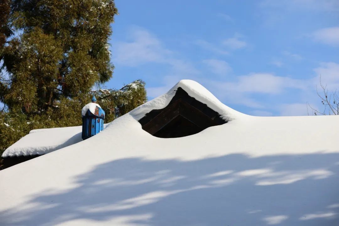 风景|【风景浙独好】宛如童话世界湖州德清莫干山雪后盛颜