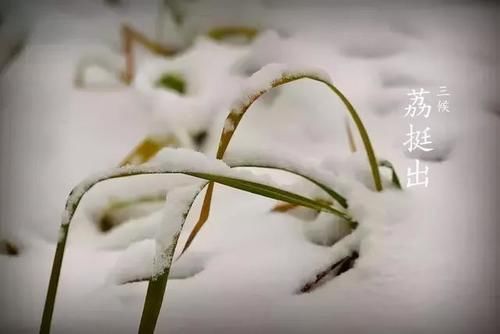  孩子|今日“大雪”，别忘了陪孩子做这6件事！（转给家长）