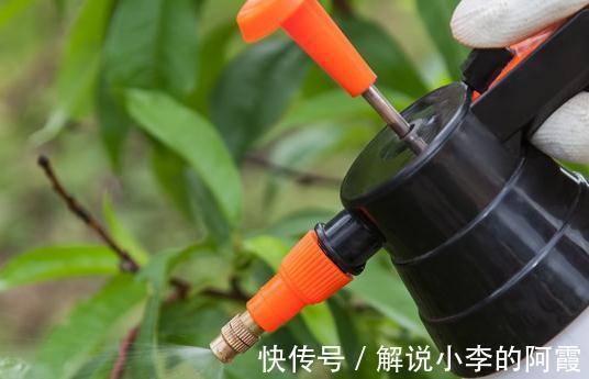 家里养花使用杀菌剂,这些别乱用和混用