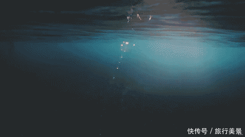 制霸南非海洋 Marine Big5 告诉你在哪看18米鲸鱼 快资讯 制霸南非海洋 Marine Big5 告诉你在哪看18米鲸鱼 快资讯