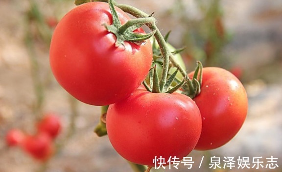 常吃西红柿，会收到三个好处，是生吃西红柿营养还是煮熟营养呢