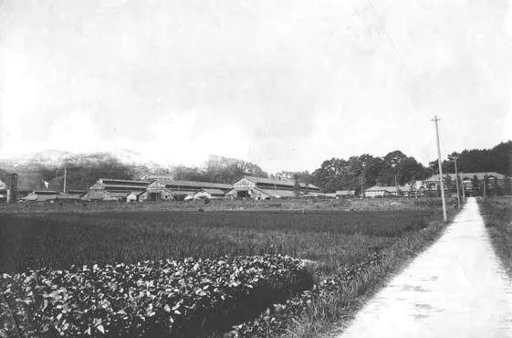 琐罗亚斯德|有好几副面孔一百年前的马自达是做什么的