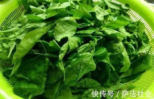 枸杞|聪明人爱吃的几种食物,排毒消脂,美白肌肤,延缓衰老