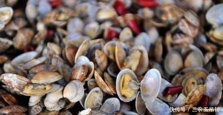 想要吃美味的花蛤, 去沙得干净, 一颗铁钉就能够让花蛤乖乖吐沙