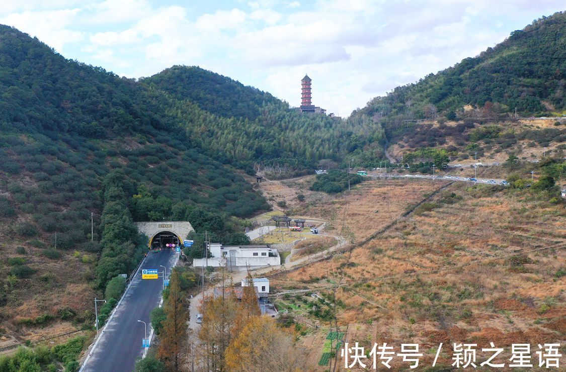 花海|黄金路，花海，红杉林，环游东吴风景线